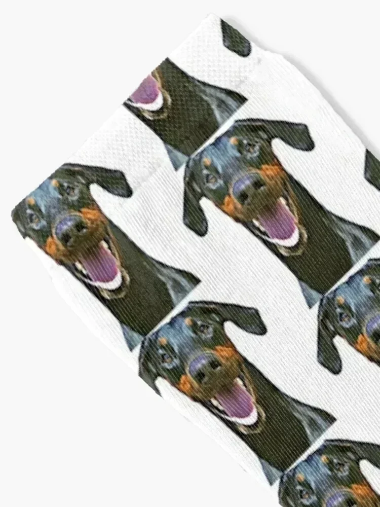 Doberman Sticker - Natural Ears Socks bright garter short Run men cotton high quality Woman Socks Men's