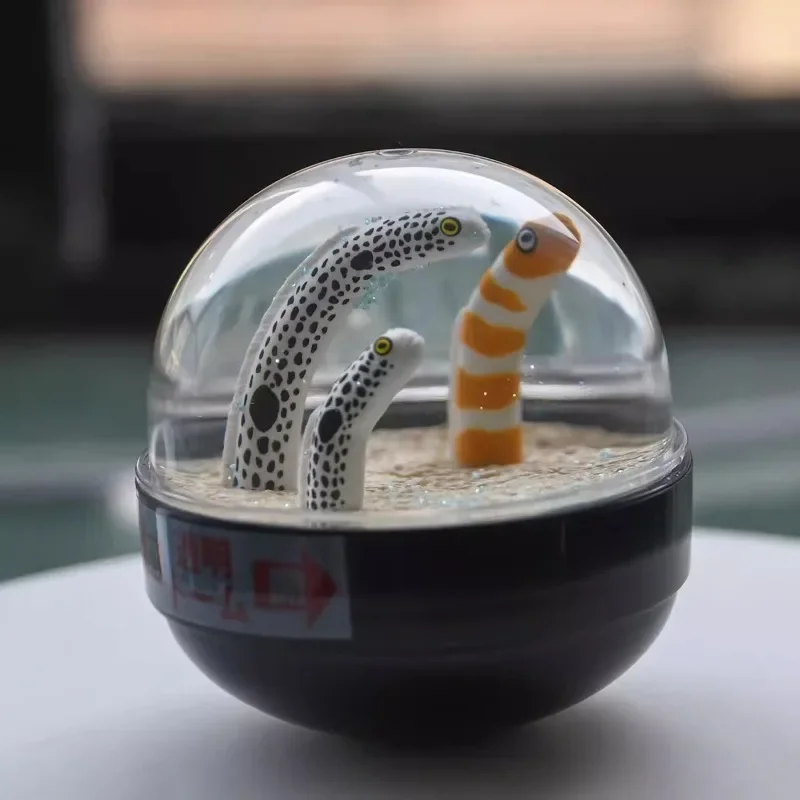 Oryginalna Kitan Snow Globe Crystal Ball Sea Turtle Marine Animal Penguin Garden Eel Figure Gashapon Kawaii Capsule Toys Model