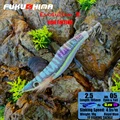 2.5 05RAYAL BLUE
