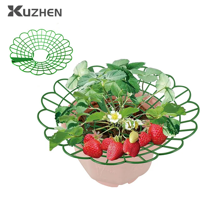 

1PC Strawberry Growing Racks Protector Frame Holder Cage From Mold Rot Dirt Strawberry Plant Supports With 3 Sturdy Legs