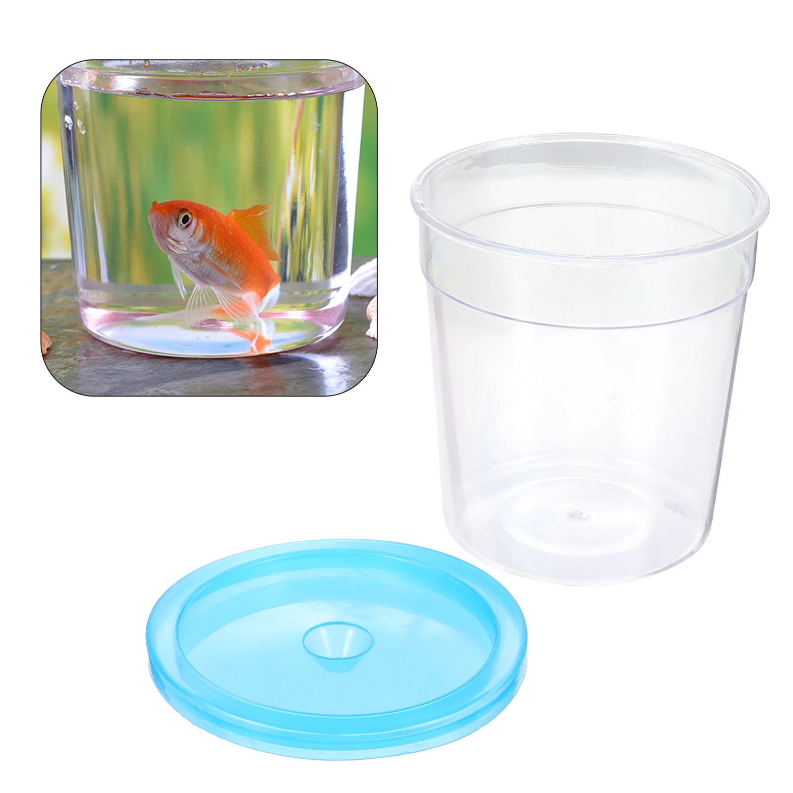 

1Pcs Reptile Feeding Box Transparent Case for Small Turtles Spiders Easy Feeding Escape Proof Lightweight Durable Pet