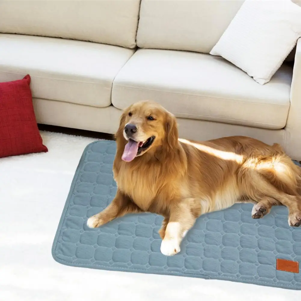 Comfortable Dog Bed Durable Dog Cushion Soft Quilted Pet Pad for Dogs Cats Non-slip Bottom Rectangle for Medium for Puppy