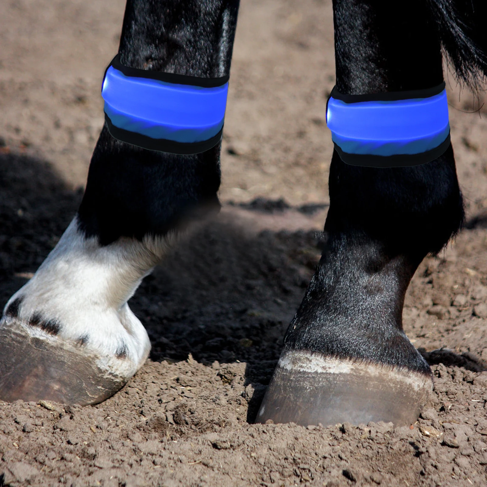 4Pcs LED Horse Leg Band Parts Waterproof Fabric with Bright LED Lights for Safe Night Riding Riding Horse Accessories