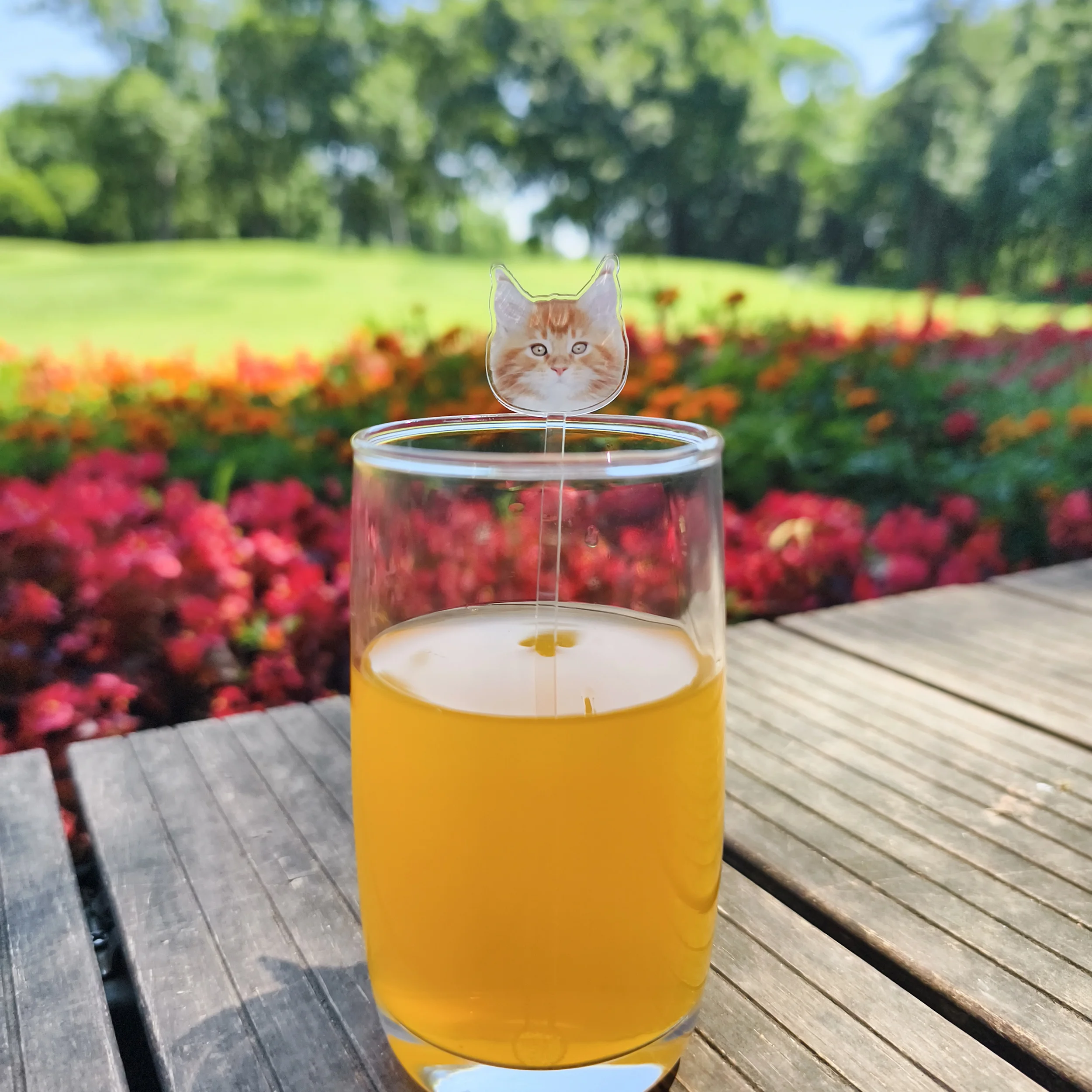 صورة مخصصة شرب تحريك هدية الزفاف الجدول الديكور شخصية كوكتيل النمامون الاكريليك حفلة شرب تحريك حفلة تذكارية