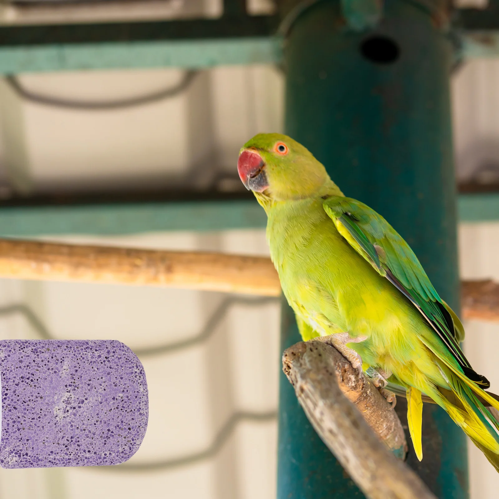 

Parrot Perch Stand Bird Perch Paw Grinding Platform for Cage Exercise Platform Bird Cage Mount Stand Cockatiel