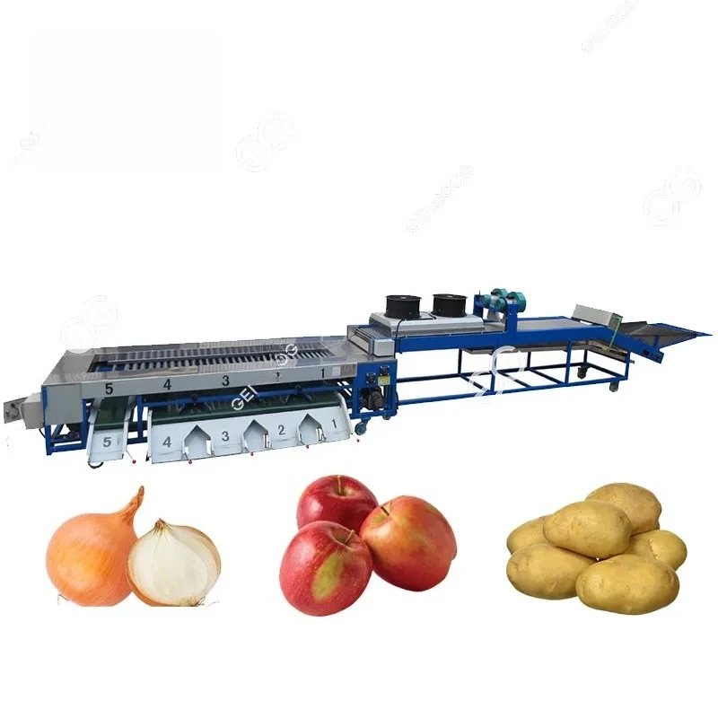 Industrial 5 Grade Bayberry Kiwi Lemon Fruit Vegetable Drying Grading Processing Line Avocado Washing Waxing Sorting Machine