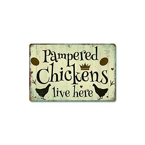 Metal tin Sign Pampered Chickens Live here.Suitable for Garage Cafe Bar Club Etc Decoration Product.