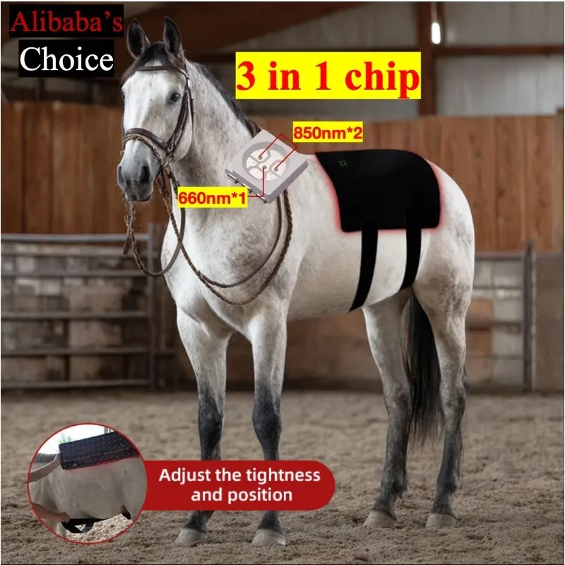 280PCS Leds Equine Horse 660nm 850nm Horse Neck Red Light Therapy Near Infrared Belt Blanket Equine Treatment Device