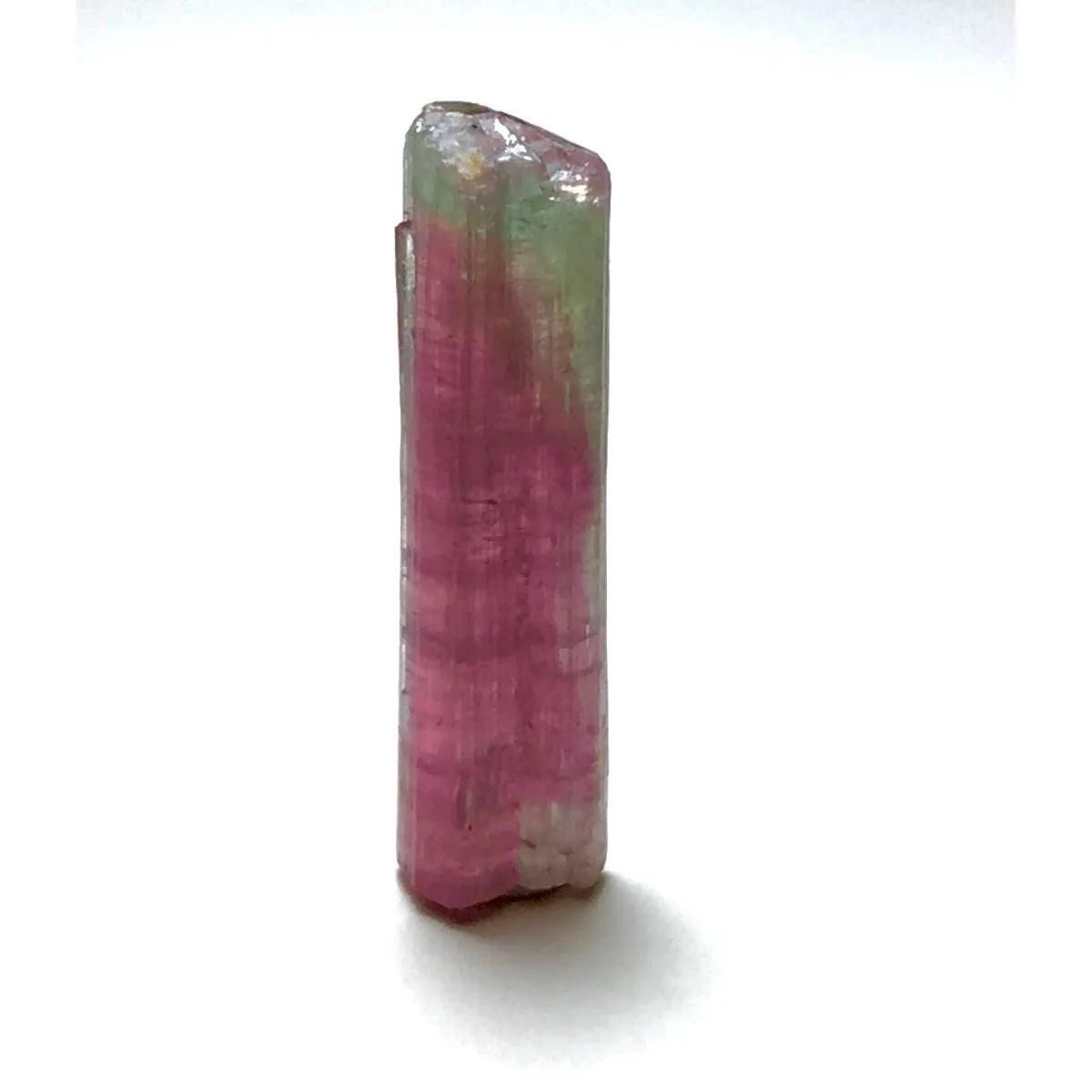 Brazilian Elbaite Rough Stones, 10g 5-15mm Multi-Color Stones, Display Box for DIY Craft & Crystal Collector Gift