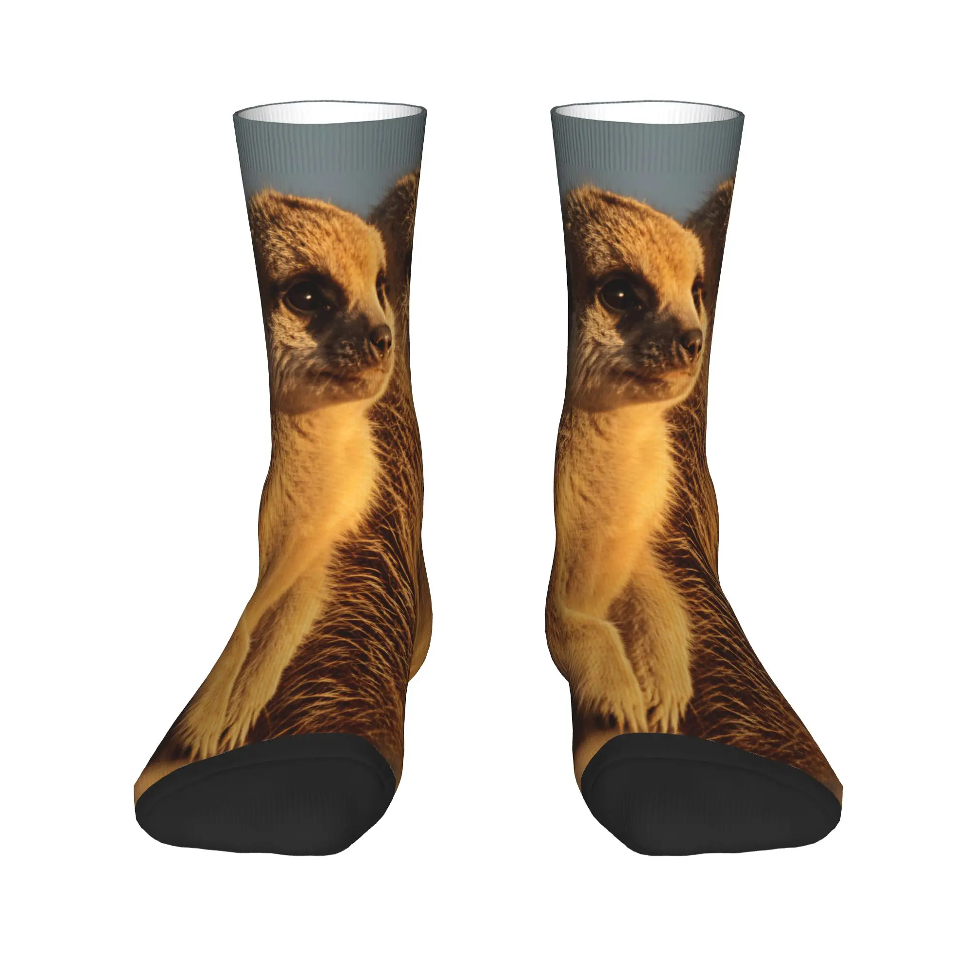Adults Men Socks Two Baby Meerkats Sitting Together Sunset Photo  Stockings Anti Skid Breathable Socks Autumn Outdoor Socks