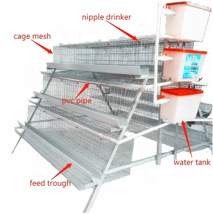 

Cage Options for Efficient Poultry Farming A Type Layer and Broiler Chicken Cages for 128 Birds