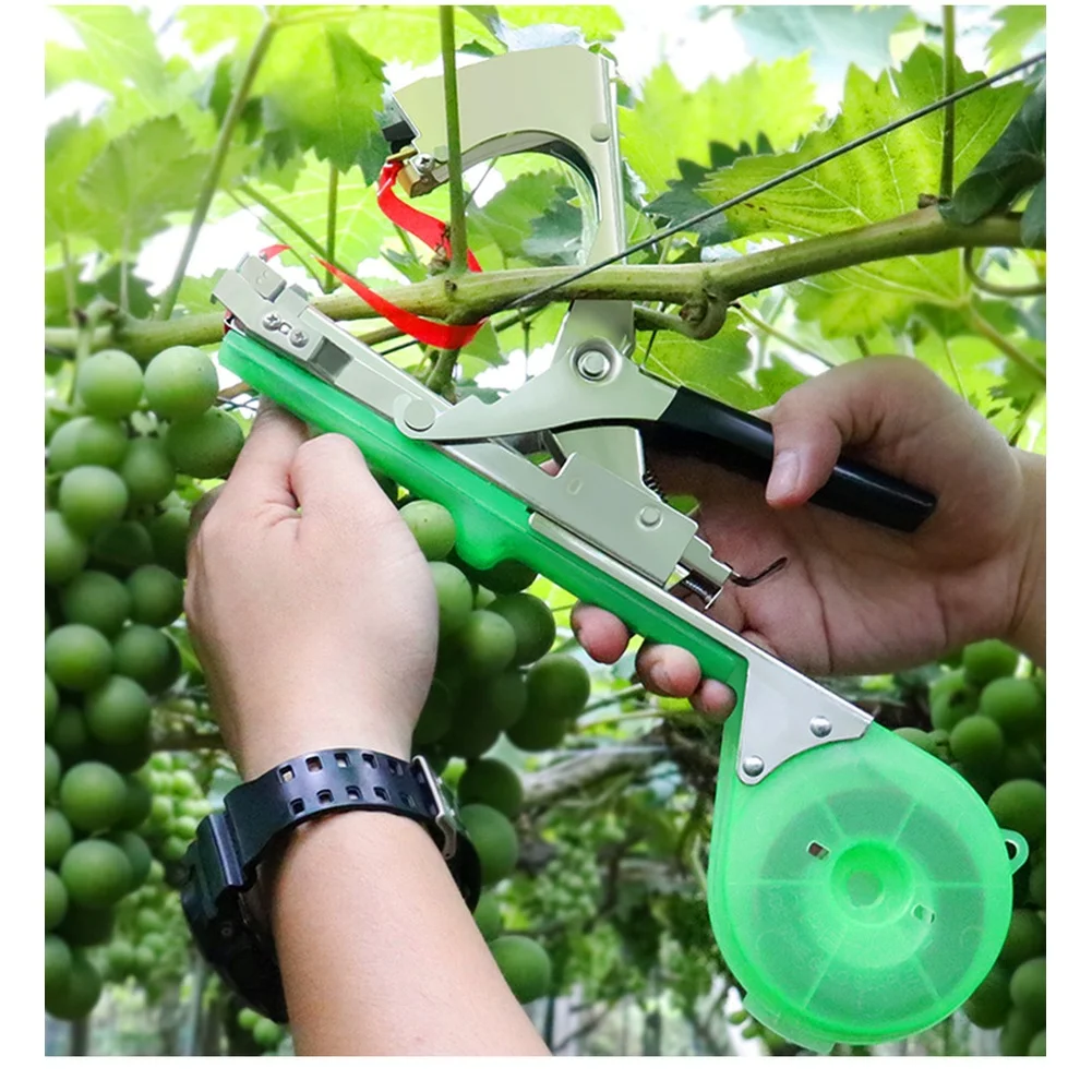 PE Bonded Stainless Steel Plant Ties for Tomato Vine Fixing Grape Stem Binding and Trellis Mounted Climbing Plant Management