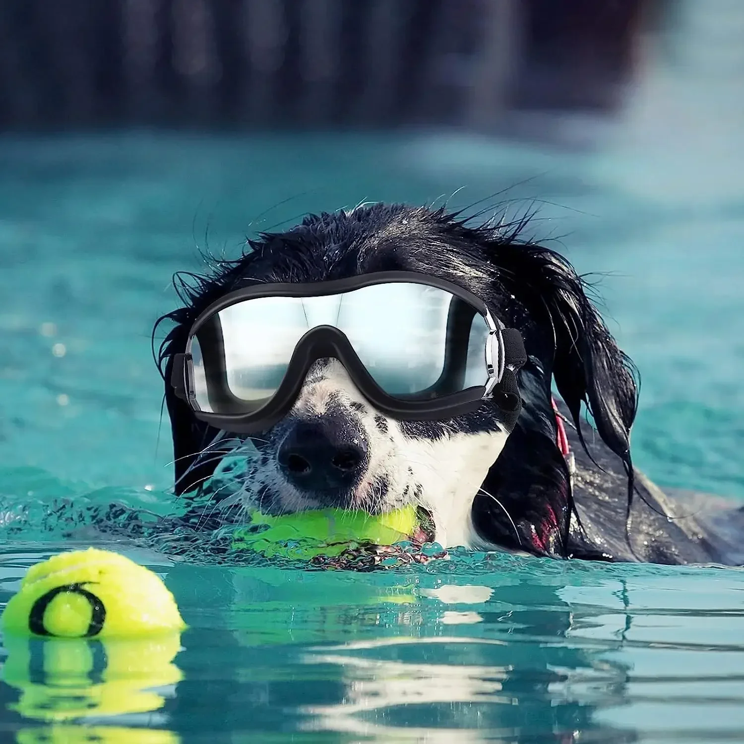 Dog Sunglasses and Pet Helmet Set,Dust Wind UV Protection Dog Glasses Dog Helmet and Goggles Adjustable Dog Motorcycle Helmet