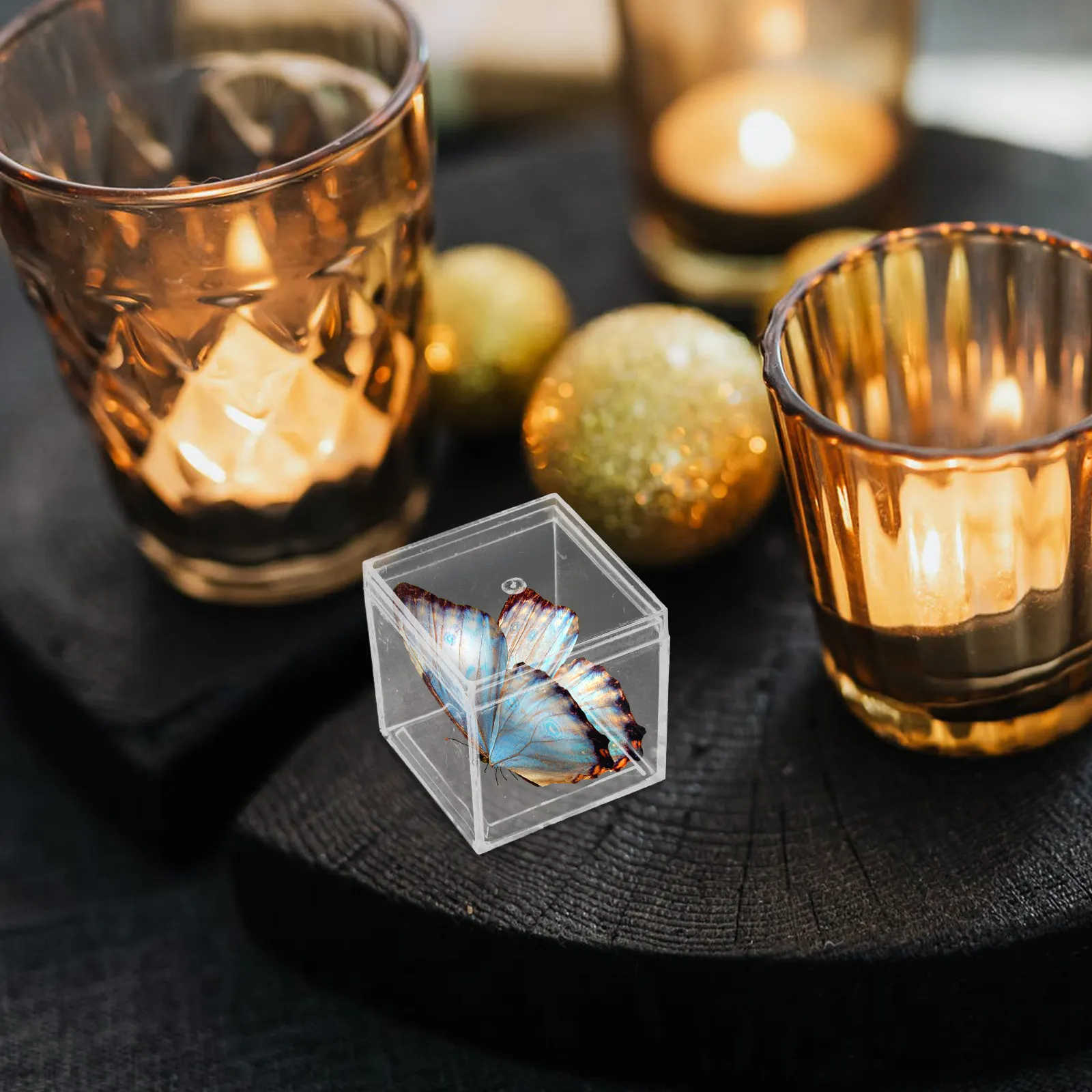 

12Pcs Clear Plastic Mineral Specimen Box Transparent Stackable Display Case Storage Container for Medical Teaching Samples