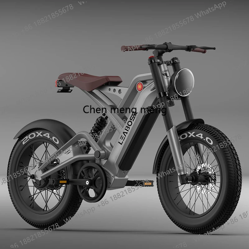 

20inch Fat Tire ELECTRIC BICYCLES 1000W 750W Fatbike Motor Electric Bike Bicycle City All Terrain E-bike