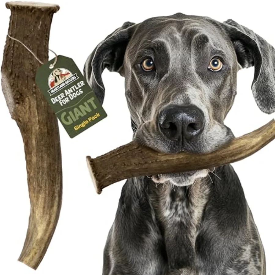 

Heartland Deer Antlers for Dogs - Daily Dental Care Chews for Aggressive Chewers to Reduce Plaque and Prevent Destructive Behav