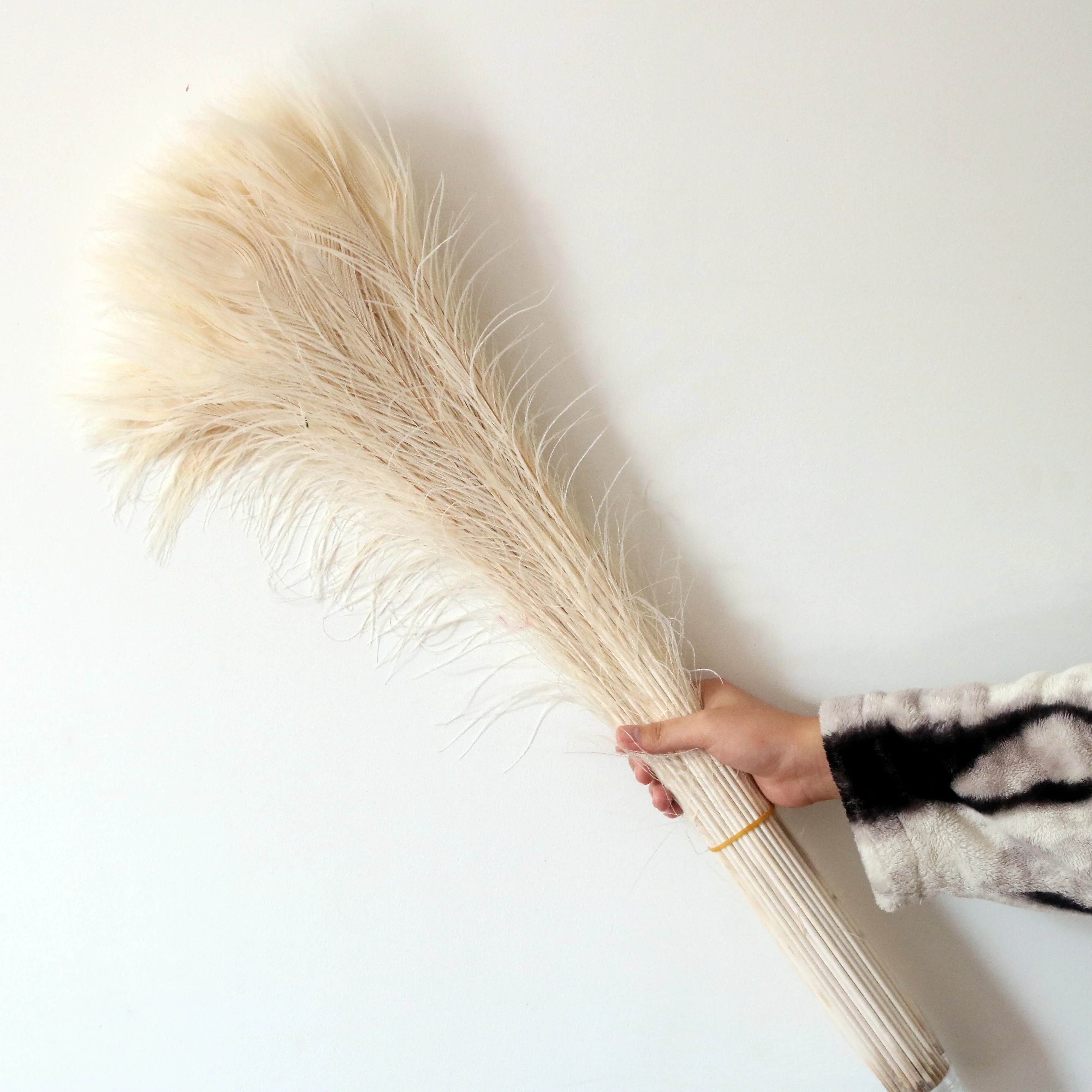 

100pcs Premium Beige Peacock Feathers 70-80CM 28-32inch For DIY Crafts Wedding Decoration Carnival Party Bulk Plumes