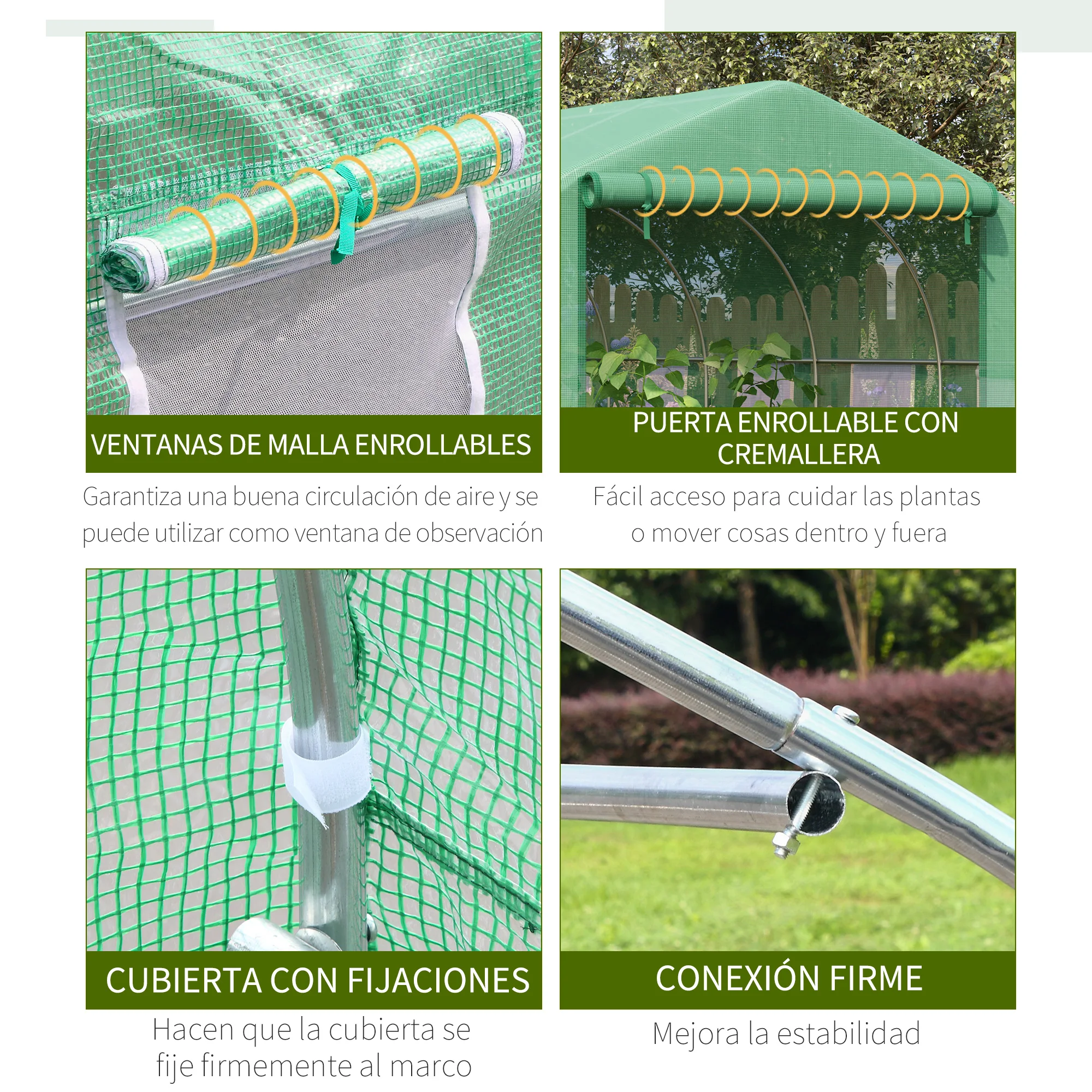 Imagen 6