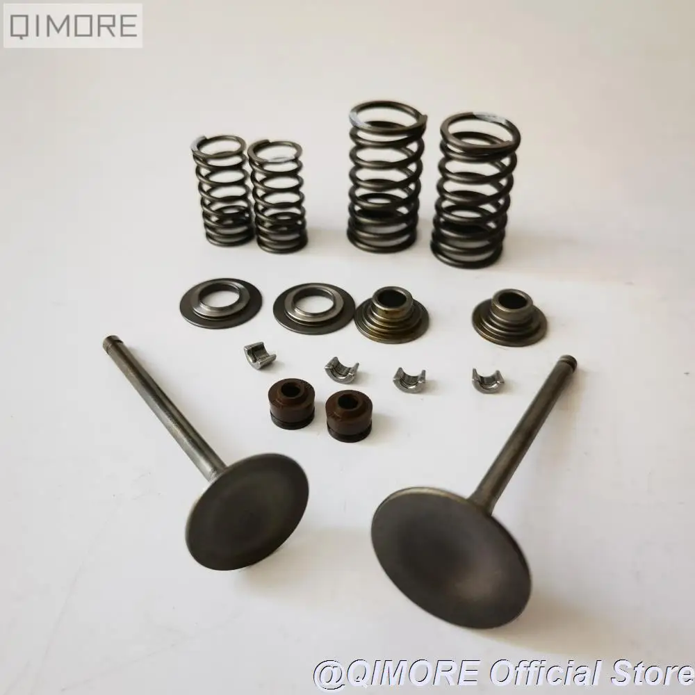 Intake Valve & Exhaust Valve & Springs & Seals for Scooter ATV 172MM CF250 CH250 CN250 KS4 Qlink Commuter 250 Roketa MC54-250B