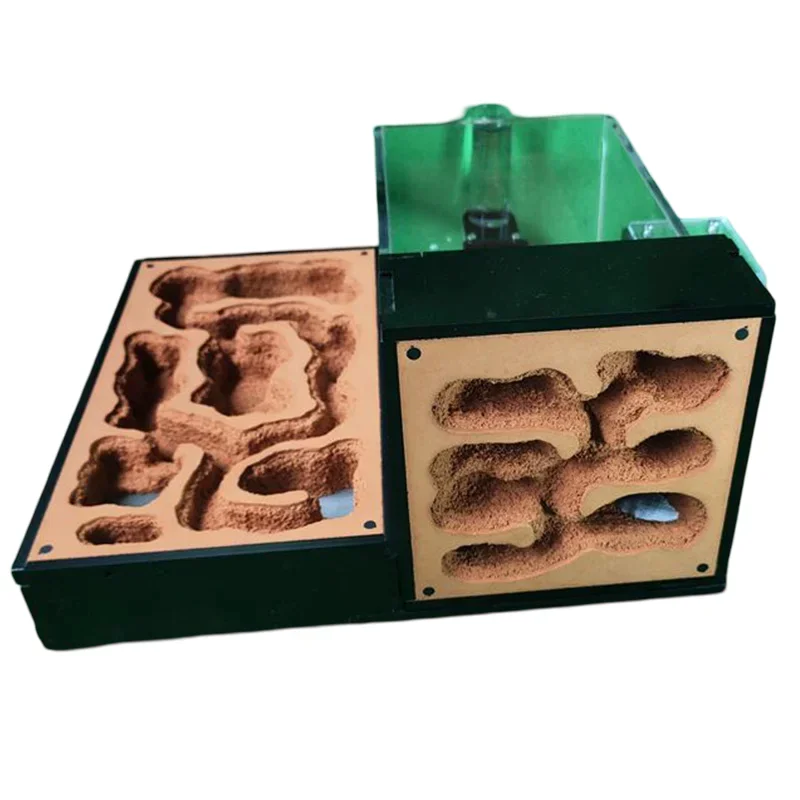 Ant Farm Ecological Plaster Ant Nest Big  Kennel Pet Anthill Workshop with Ant Arena House Villa Insect Box