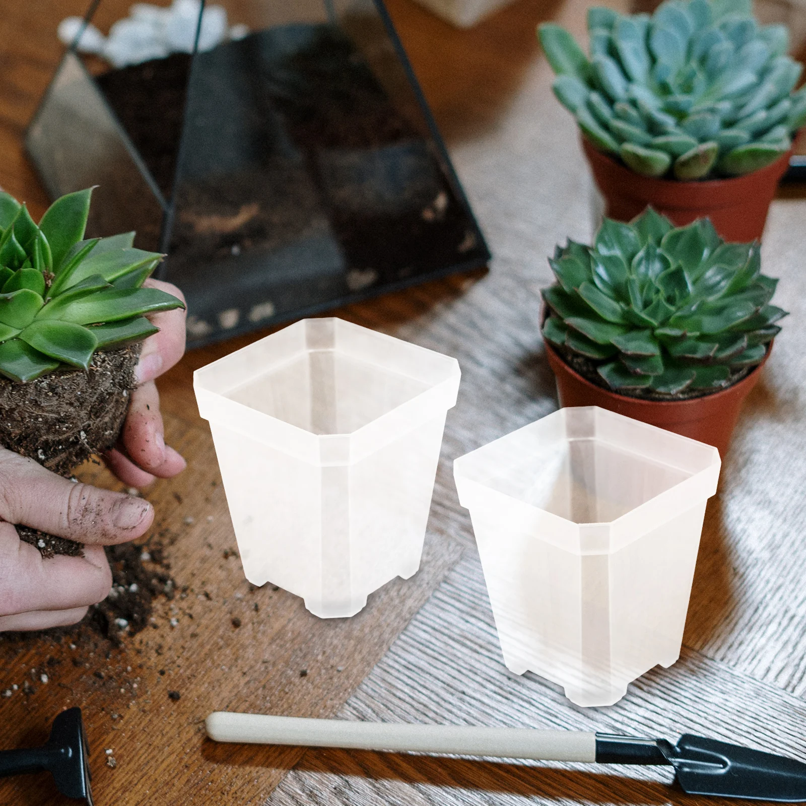 

20pcs Plant Succulent Plant Pots Green Flowerpot Plastic Nursery Pots For Outdoor Plants Draining Holes Garden Home Use