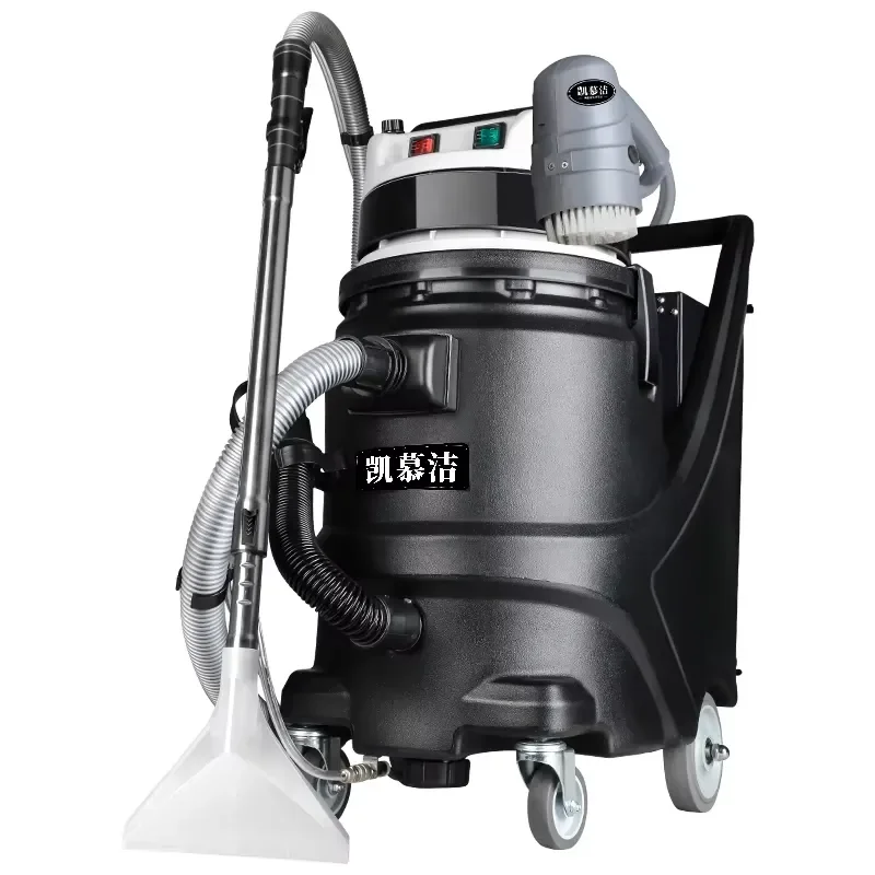 New Professional Electric Portable Carpet Cleaning Machine Sofa Curtain Car Interior Mattress Vacuum Cold Water Cleaning