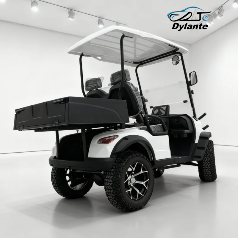 

Производитель, настраиваемый Китай, 72 В, электрическая тележка для гольфа на 2 человека, багги с литиевой батареей, багги для гольфа, двигатель 5 кВт с задним грузовым ящиком