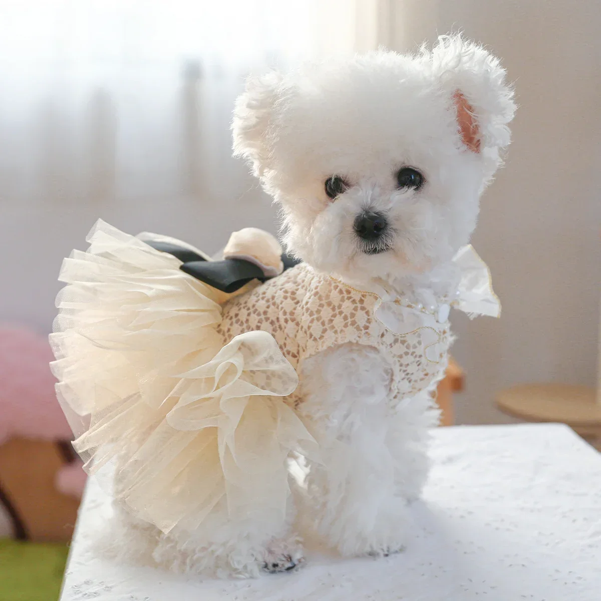 1PC Pet Clothing Cat Summer Thin Hollow Beige Bow Princess Wedding Dress Suitable for Small and Medium Dogs