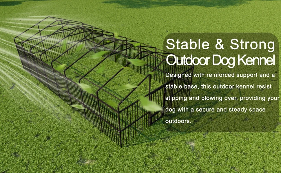 Dog Cage