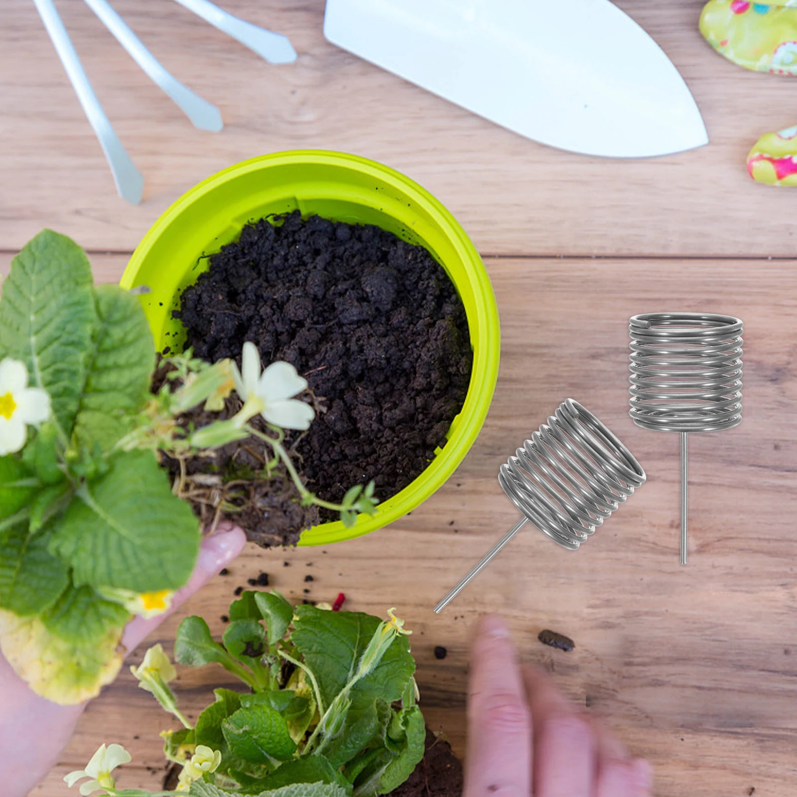 

10pcs Box Stainless Steel Durable Gardening Accessory Granular Container for Pot Plants Balcony Garden