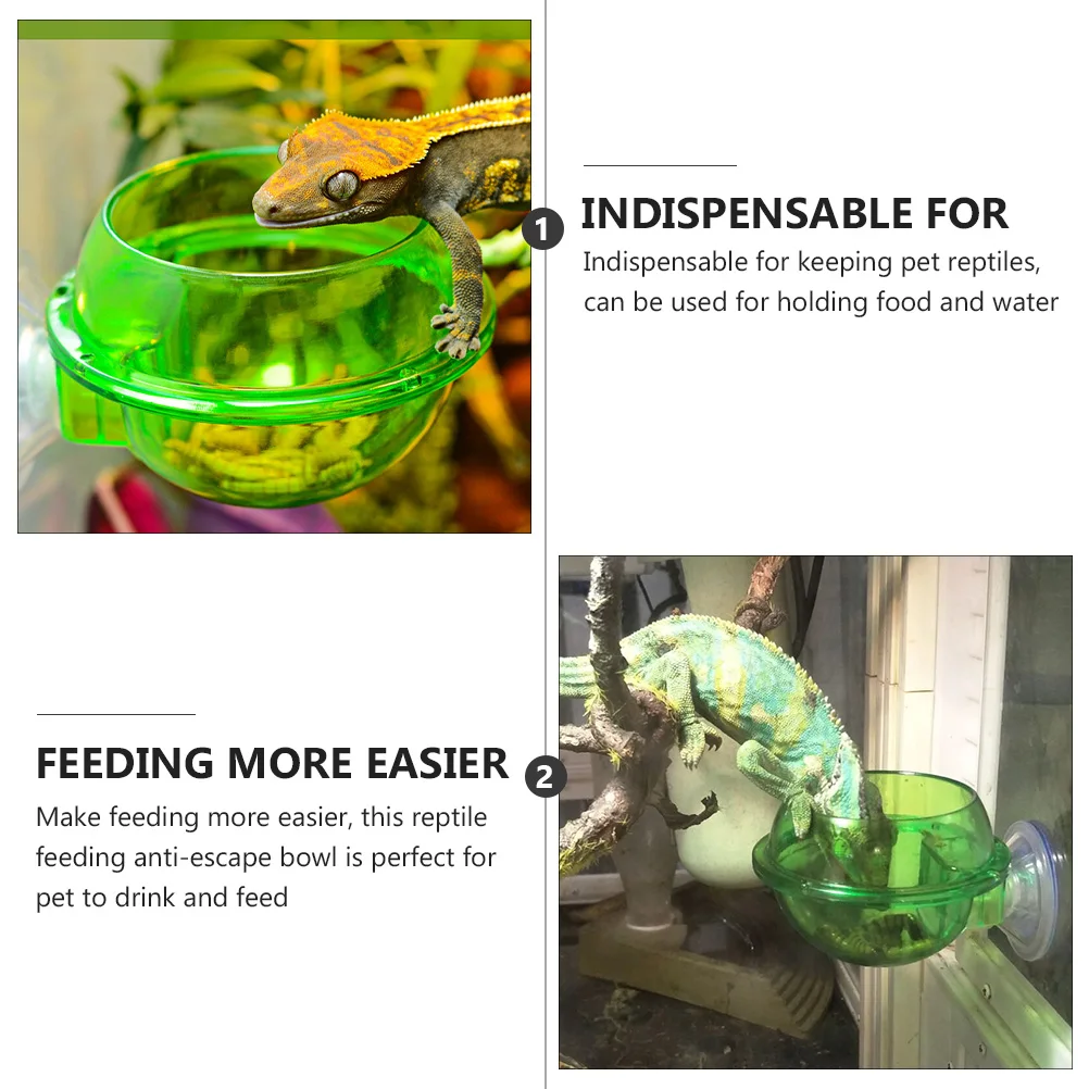 

4pcs Reptile Bowl with Suction Cup Pet Feeder Lizard Dish for Feeding Water Food Anti-Escape Durable Smooth Surface