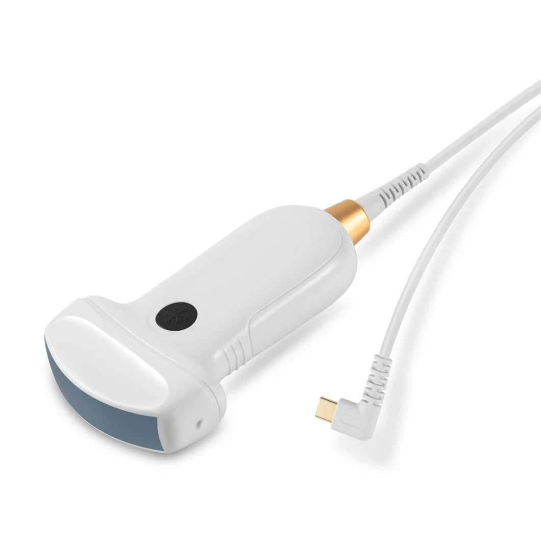 Waterproof Veterinary Type C Portable Ultrasound Convex Linear Rectal Probe for Animal