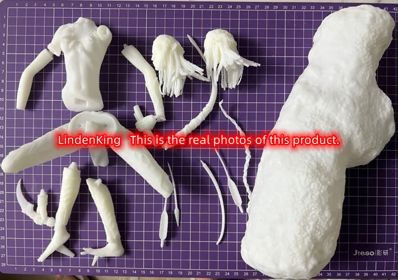 LinDeekin  D190 Customized 3D Garage Kits Unpainted Figure GK Models White resin Unassembled Jigsaw puzzle of character models