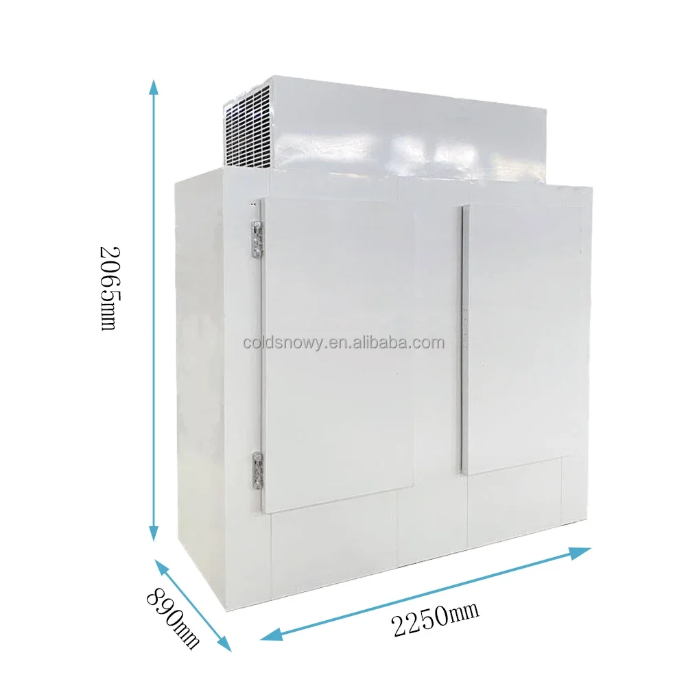 Cold Wall Ice Freezer Box for gas station use with CE/ Solid Door Or Glass Door Cold Storage Ice Box R404A for Supermarket Use