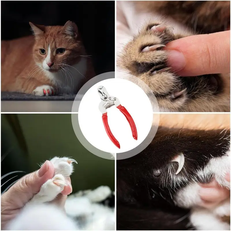 Safe Puppy Nail Clippers Stainless Steel Cat Nail Trimmer Safe design Efficient nail polishing durable Suitable Other small pets