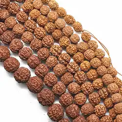Big Sizes Real Rudraksha Bodhi Beads Strand 12mm 13mm 14mm 15mm