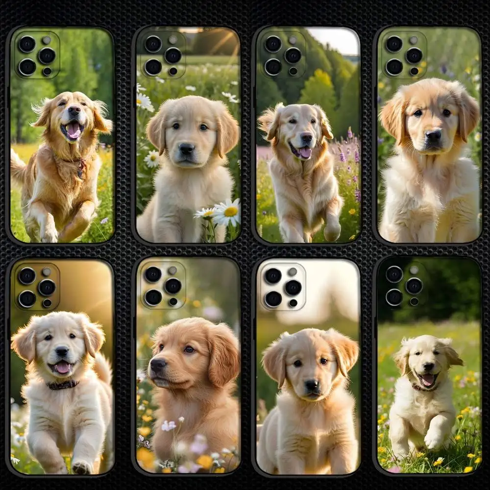 

Happiness among the golden retrievers Phone Case For iPhone 16,15,14,13,12,11 Plus,Pro Max, Others Soft Black Cover