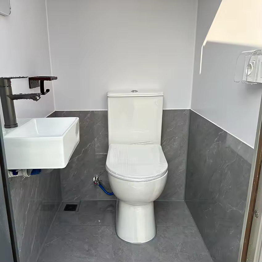 Double Portable Toilet image