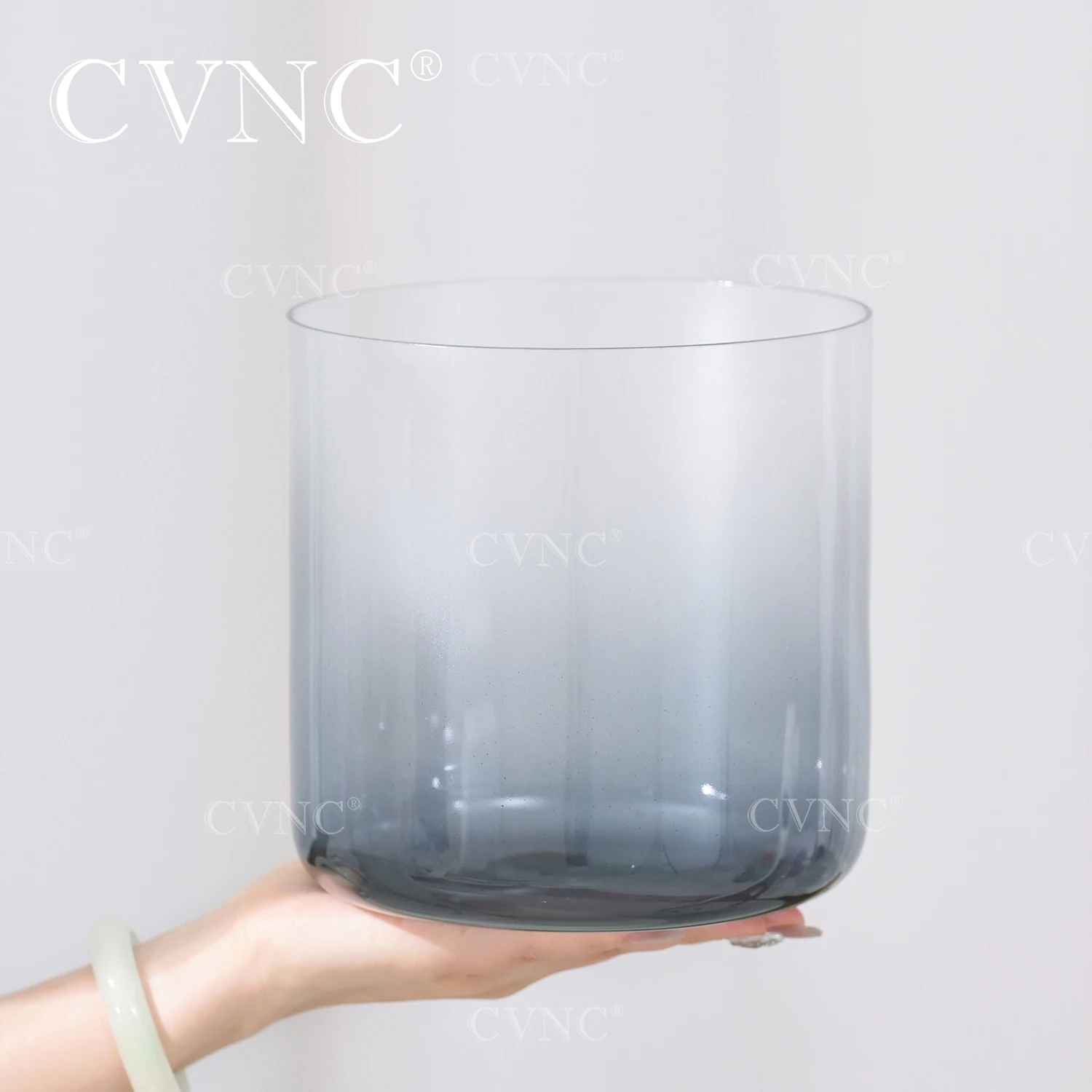 CVNC 6