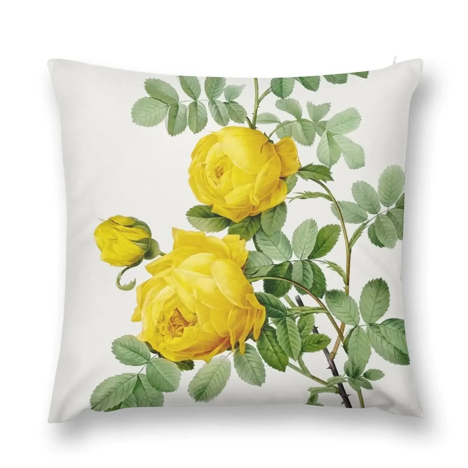 Rosa hemisphaerica known as Yellow Rose of Sulfur by Pierre-Joseph Redouté Throw Pillow Pillow Decor Custom Cushion Photo pillow