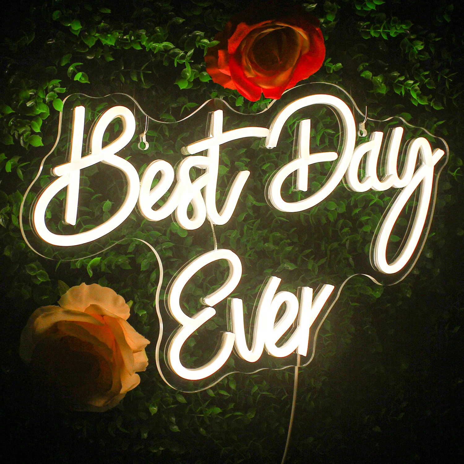 Wanxing Best Day Ever Neon Sign Party Lights Led Lamps Personalised Birthday Restaurant Bar Gamer Aesthetic Wall Decoration