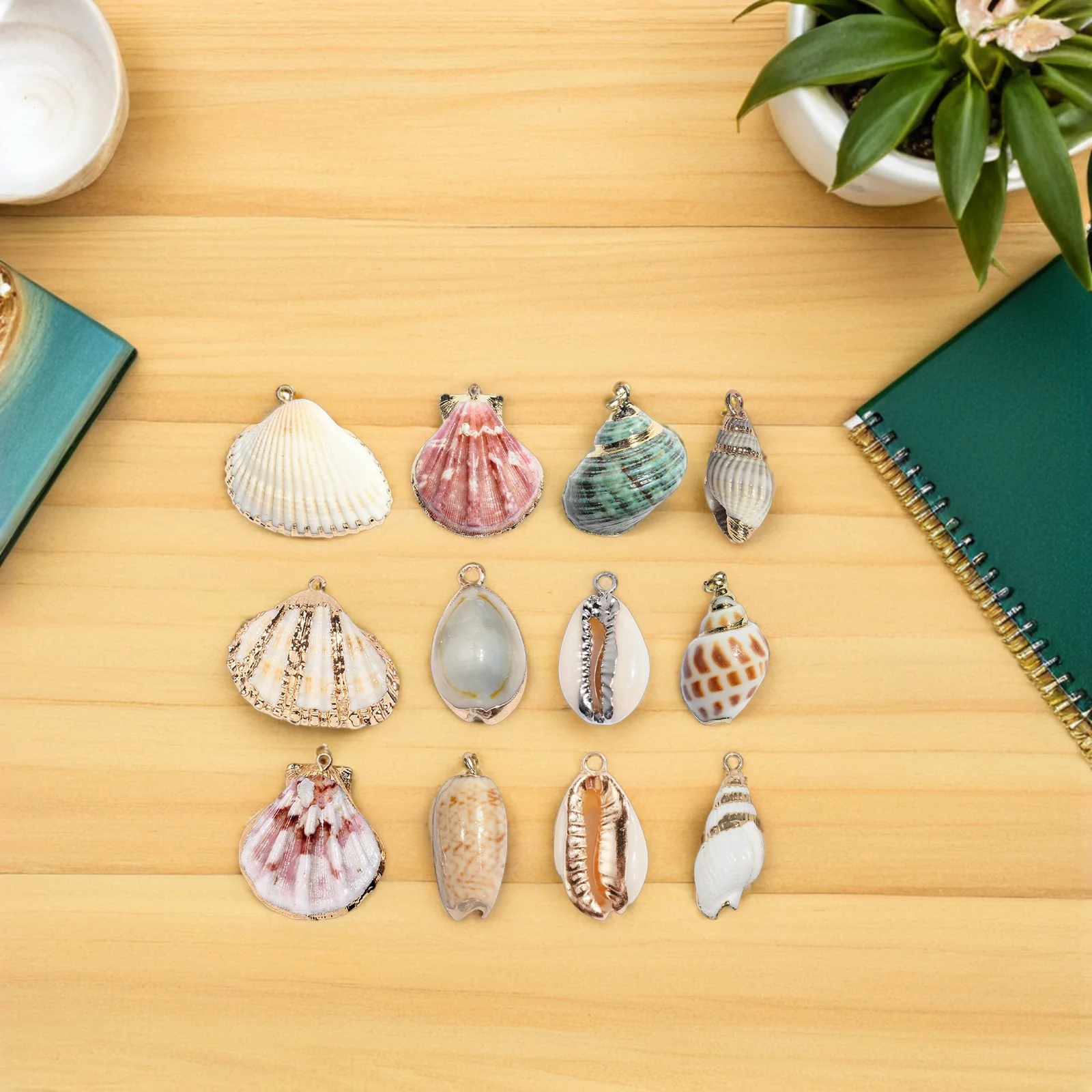 12 قطعة أجزاء مجوهرات من الصدف قذائف طبيعية لصياغة عقد دي اي واي أقراط صنع لوازم قذائف الزخرفية الملحقات #2