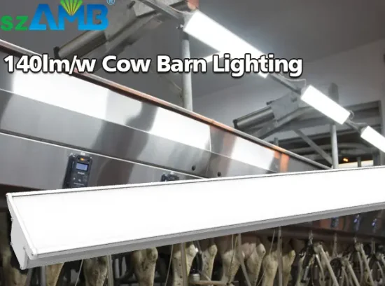 Dimmable ZLC Anti-Ammonia Dairy Barn LED Linear Highbay Lighting without Blue Light for Milking Room