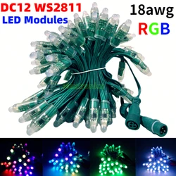 500-1000pc DC12V WS2811 RGB moduły LED 12mm girlanda żarówkowa IP68 wodoodporne złącze programowalne 18AWG zielony przewód lampa Led