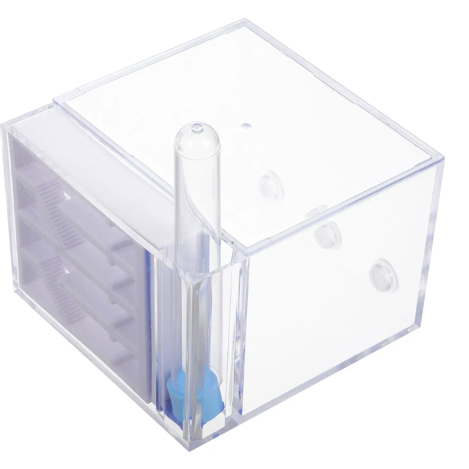 

Ant Castle Nest Observation Habitat Small Acrylic Villa Farm House Transparent Farming