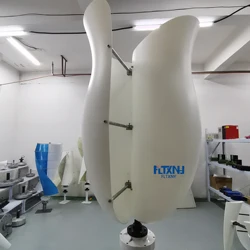 FLTXNY ROSE Flower Shape 6000W Wind Turbine Generator 12V 24V 48V 3 Phase AC Vertical Windmill For Home or Farm Park