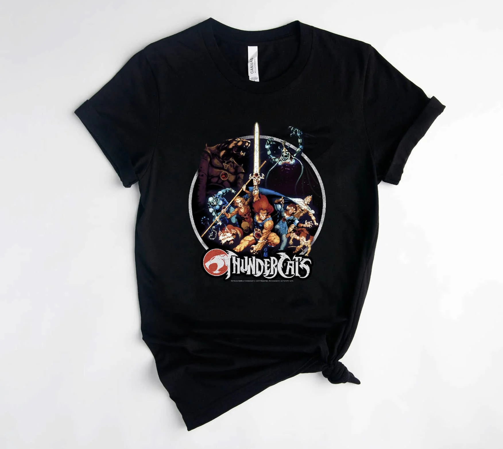 Thundercats Group Shot Vintage Circle T shirt B08KYC3KZS