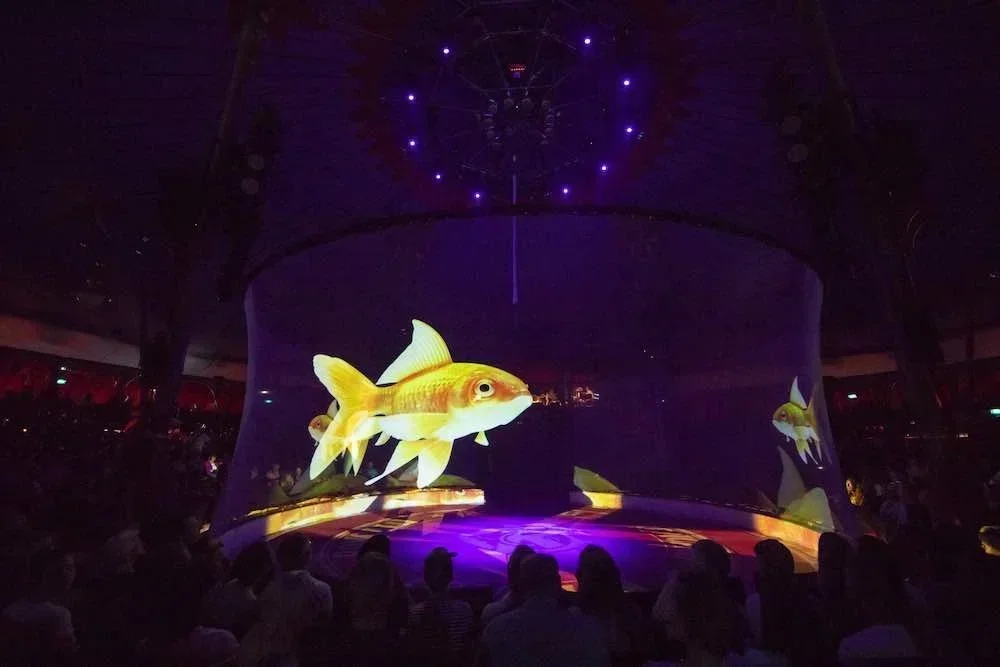 Holographic Mesh Projection Screen 3D for Hologram Exhibition ,circus Display ,Wedding