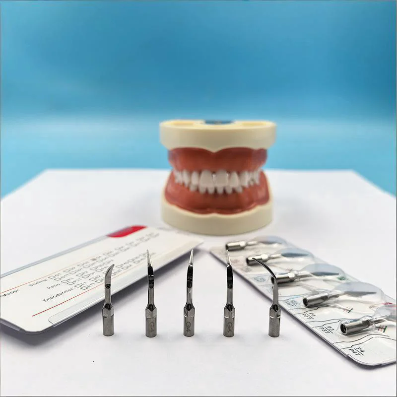 

5-pcs Dental Ultrasonic Scaling ProbesCompatible with EMSWoodpecker Ultrasonic Scaler HandpiecesDental Ultrasonic Scaling Probes