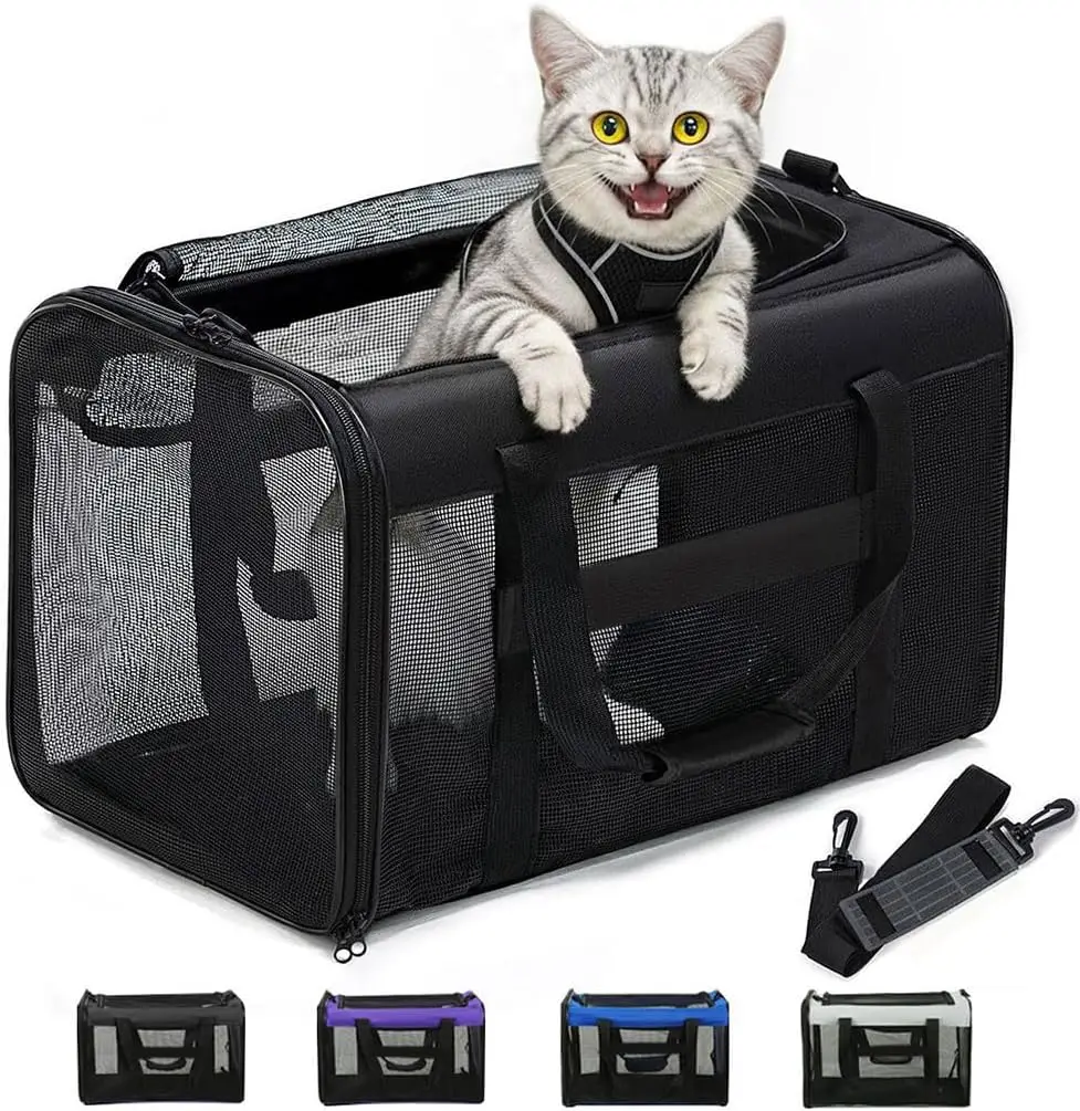 

Conlun Cat Carrier Bag,Soft-Sided Pet Carriers for Dogs with 4-Sided Mesh,Airline Approved Cat Transport Carrier for Small&Medium Cats Kitten Puppy Up to 15Lb,Collapsible Cat Travel Carrier-M,Black